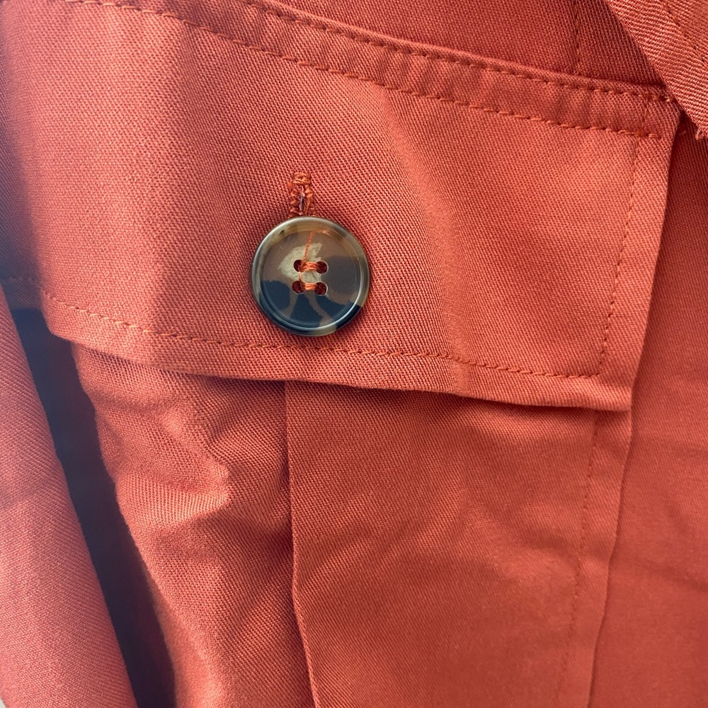 TORTOISE - Picture 3 of 5